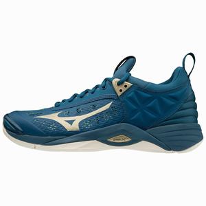 Mizuno Wave Momentum Miesten Lentopallokengät Sininen | 024-TWBFZL